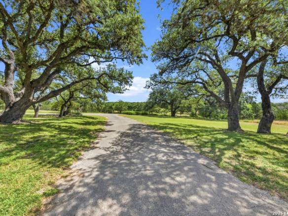Headquarters Pasture of the True Ranch